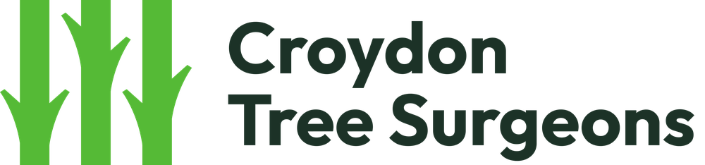 Croydon Tree Surgeon